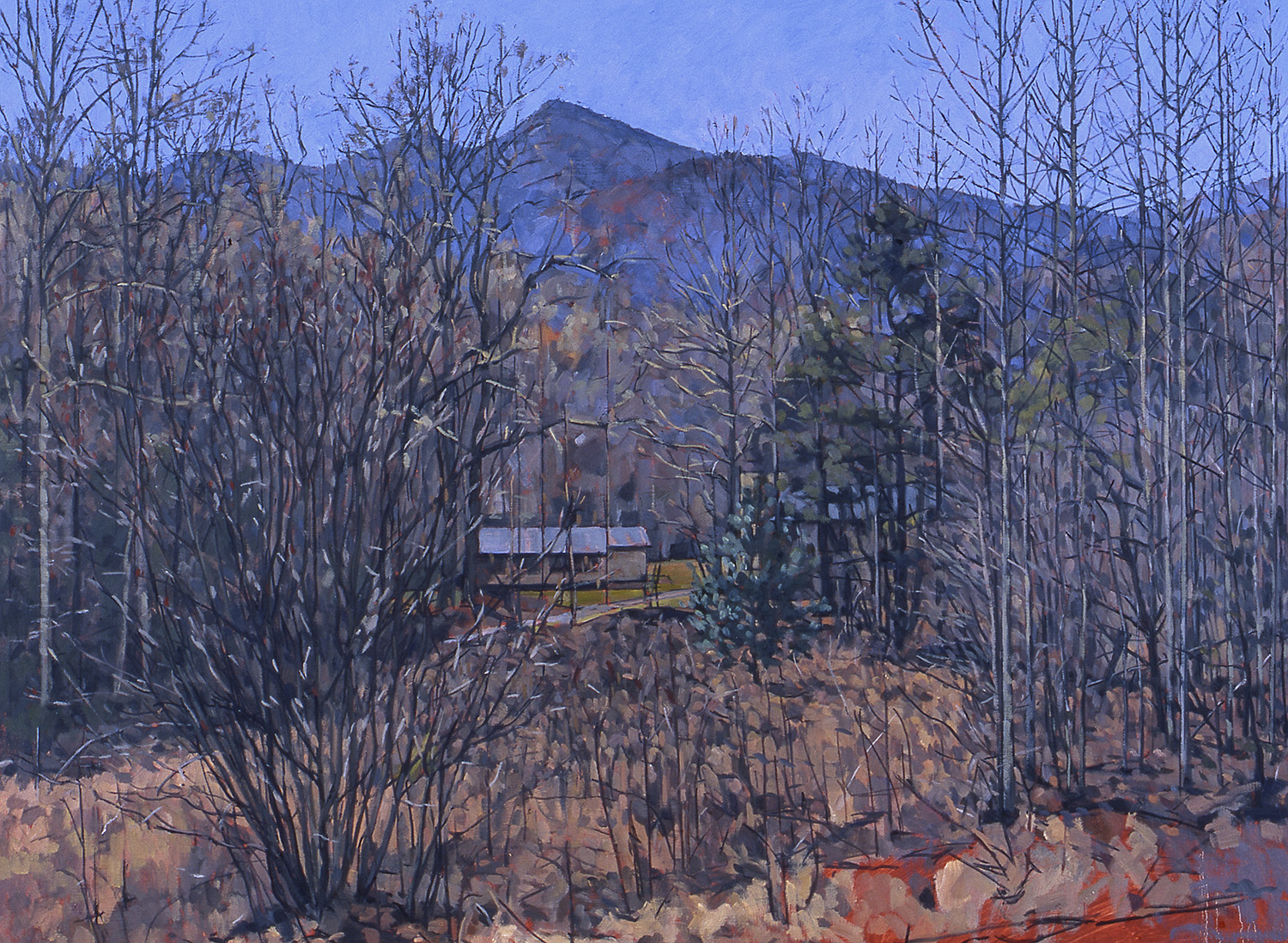 the potting shed, Georgia by Frederick Ortner (larger)