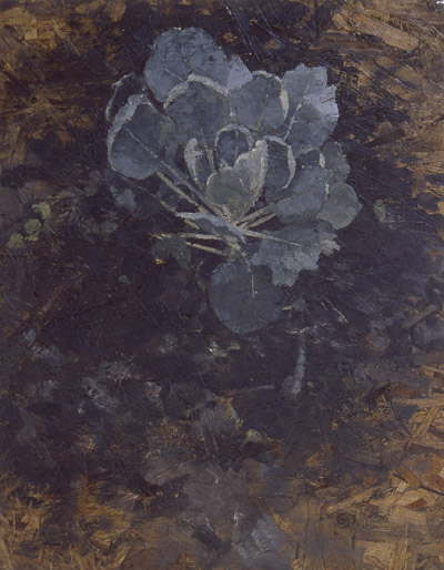 broccoli by Frederick Ortner