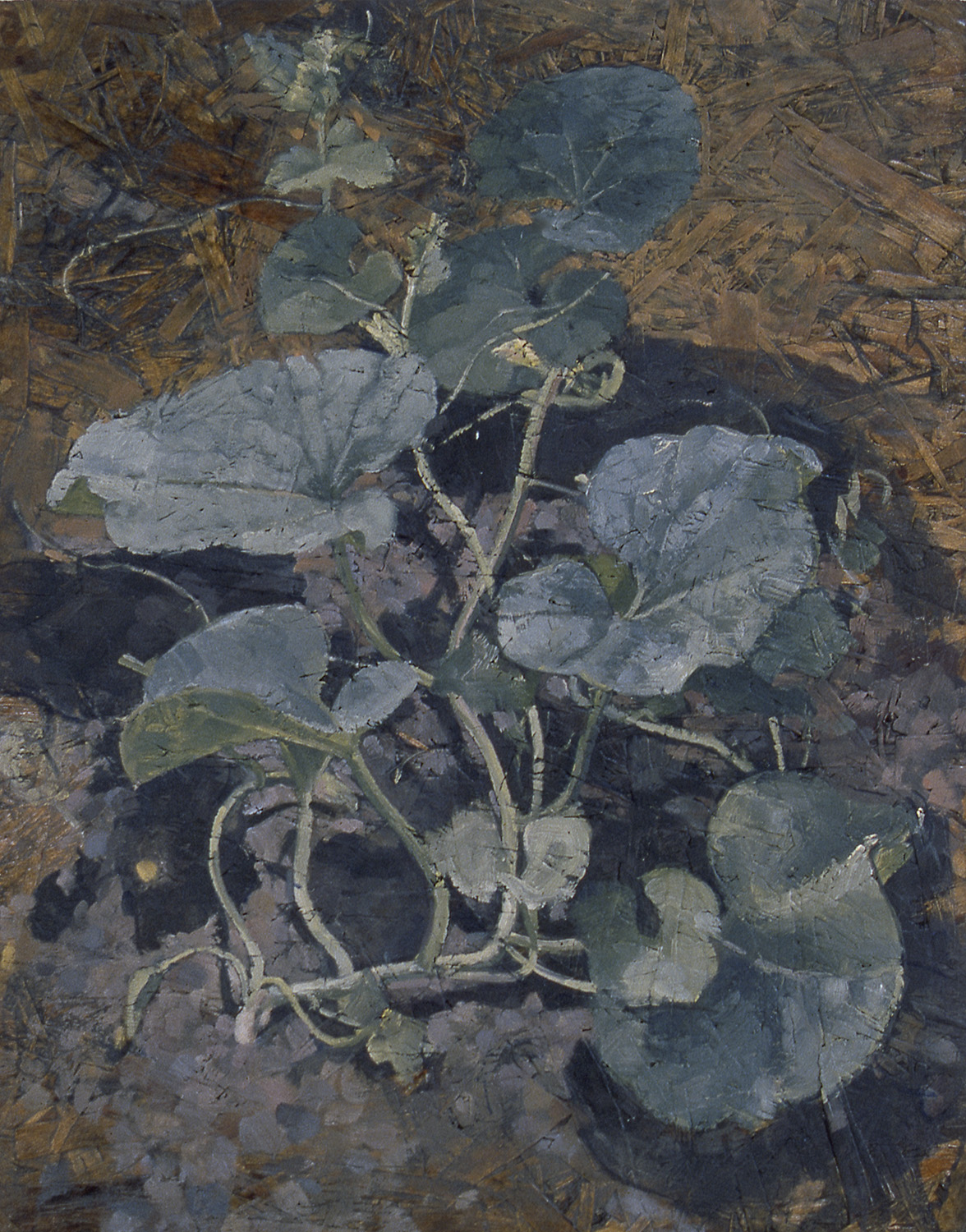 cantaloupe by Frederick Ortner (larger)