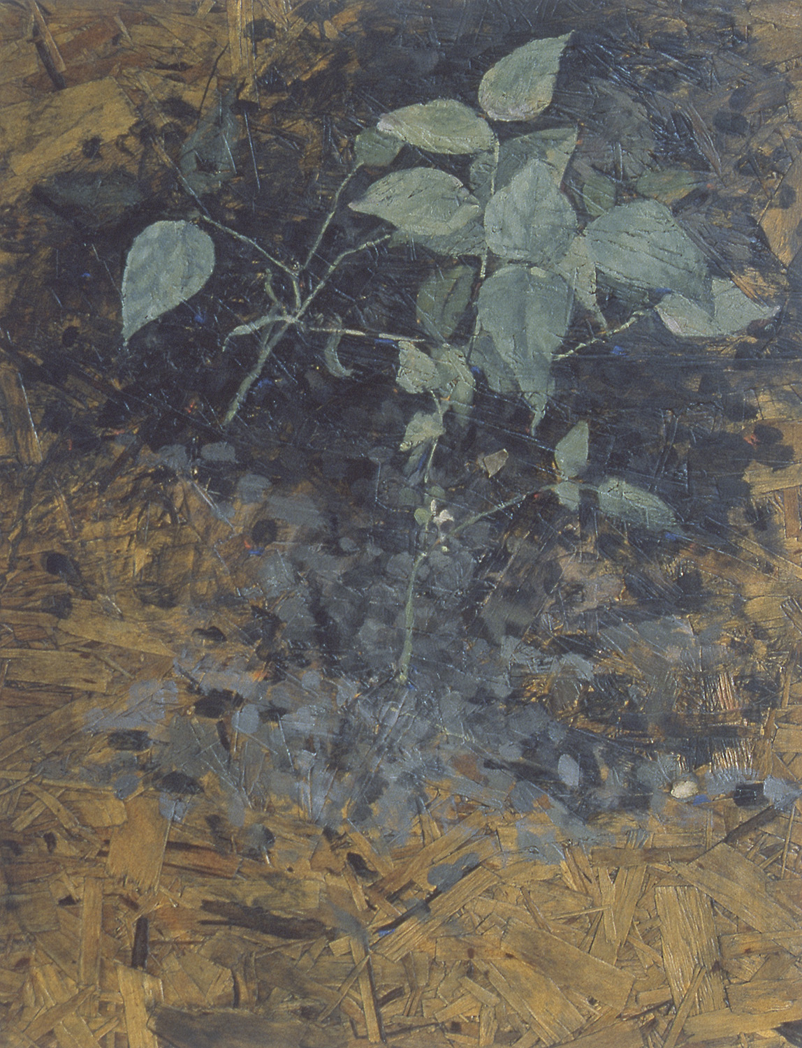 late beans by Frederick Ortner (larger)
